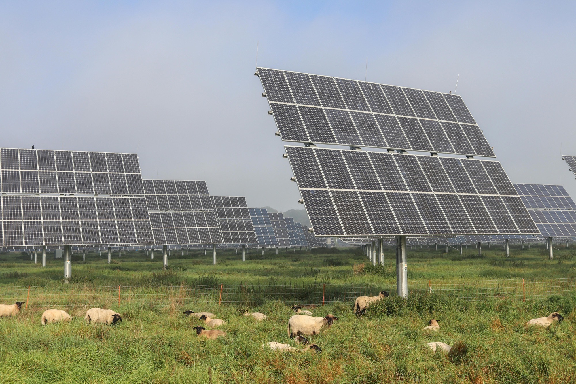 Solar farm integrated with agricultural land use.